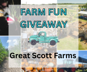 Enter our Giveaway